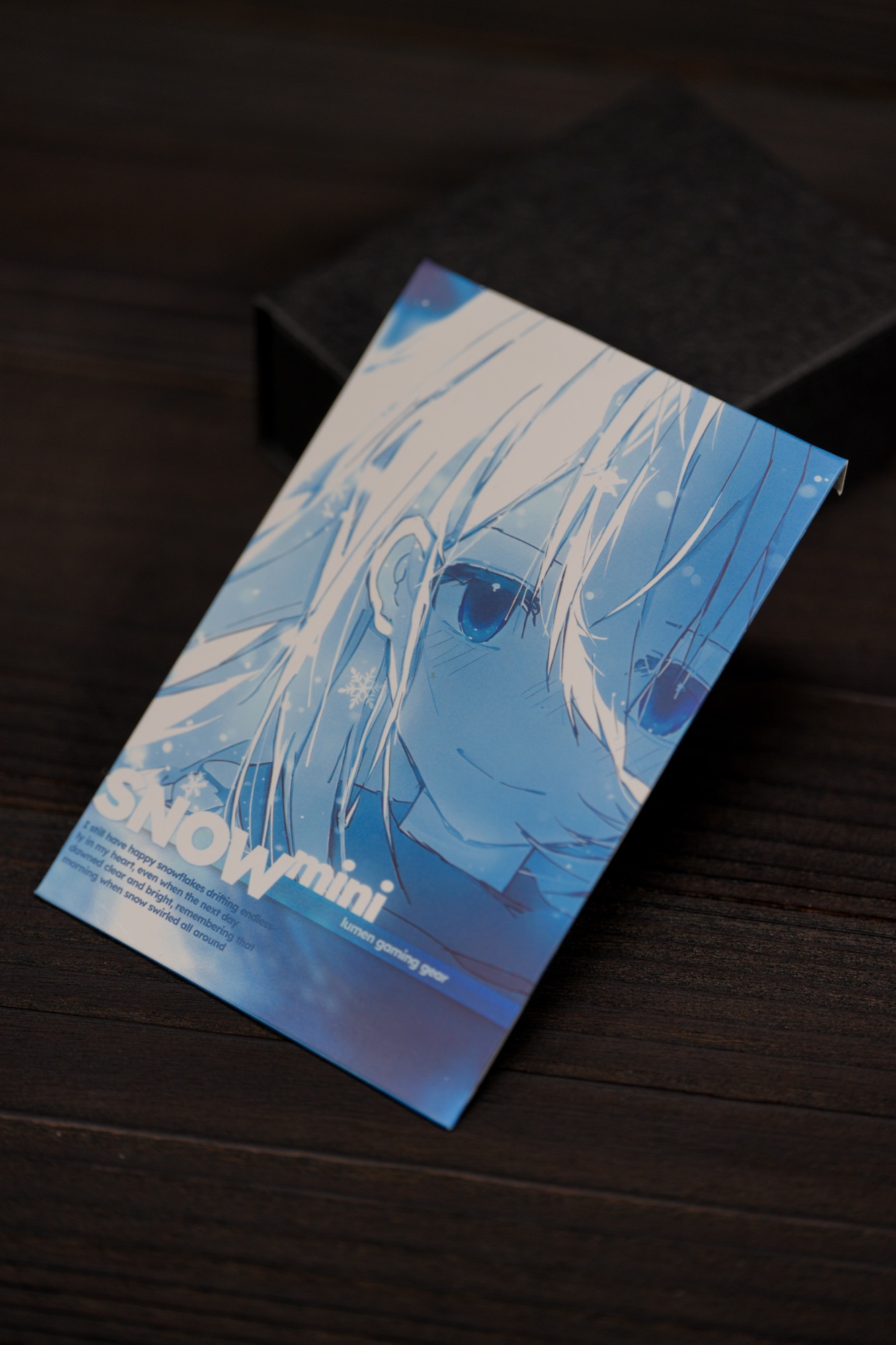 Snow Mini package detail